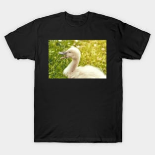 Cygnet T-Shirt